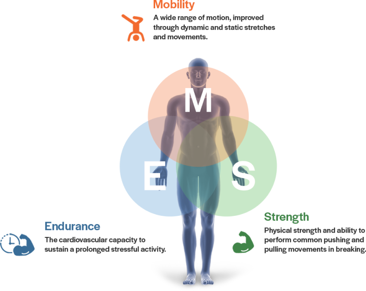 MES Mobility Endurance Strength human body Infographic Poster
