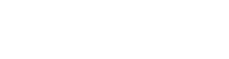Fitluc Logo White